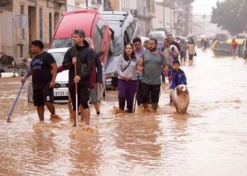 40 killed, 75 sheep perish as J&K battles nature’s fury