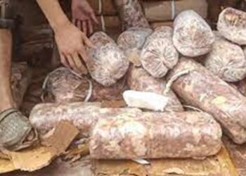 After Kashmir, expired rotten meat seized, destroyed in Jammu