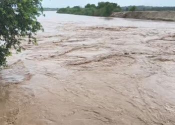 Jhelum swelling, but situation under control: I&FC appeals for calm