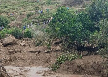 Sudan: Rescuers pull three hundred seventy bodies from Darfur landslides, many remain trapped