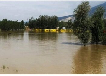 J&K LCMA issues advisory for Dal dwellers, houseboat owners, Issues contact details of concerned officers