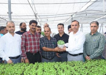 Director Agriculture Jammu distributes One Lakh Hybrid Vegetable Seedlings under HADP