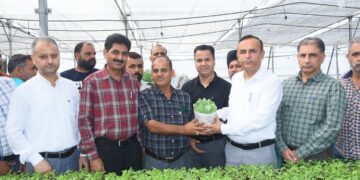 Director Agriculture Jammu distributes One Lakh Hybrid Vegetable Seedlings under HADP