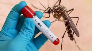 J&K reports around 2,200 dengue cases so far this year