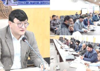 DC Baramulla Chairs DLRC Meeting