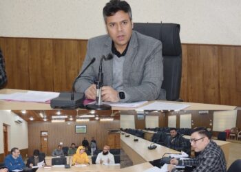 DLIC Budgam approves 733 cases under Mission YUVA