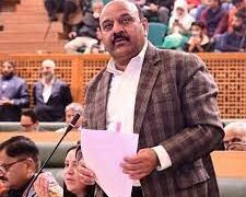 Govt to revive traditional stone quarrying in Kashmir: Deputy CM