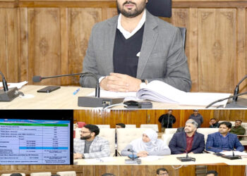 DC Srinagar reviews status of Mandatory Biometric Updates for Aadhaar, implementation of CRS for seamless birth-death registration