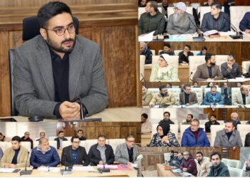 DC Srinagar reviews progress of works under District Capex Budget