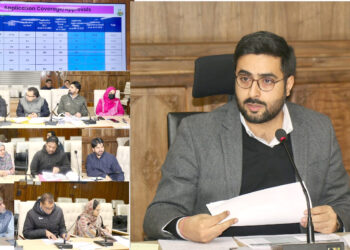 DC Srinagar reviews progress of JKCIP, HADP & KKGs in the district
