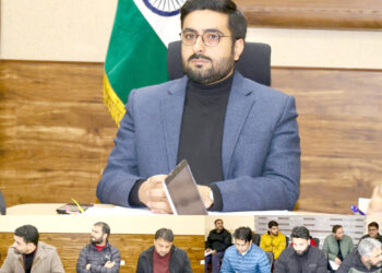 DC Srinagar takes Tehsil-wise review of Revenue services