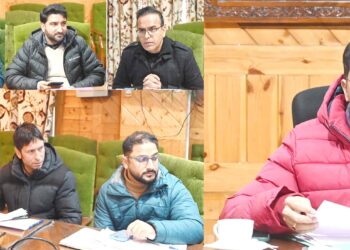 DC Shopian Stresses Seamless Revenue Service Delivery