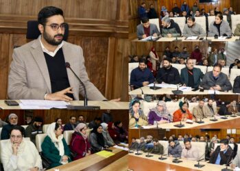 DC Srinagar assesses progress of Mission Yuva in the district
