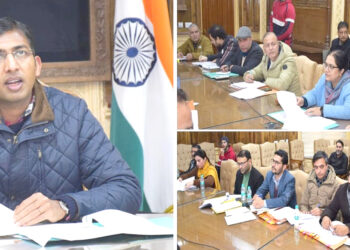 Div Com Kashmir reviews ATR on Stray Animal issues as per SC Directions