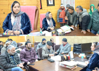 Govt committed to deliver good governance that reflects aspirations of every section of society: Sakeena Itoo