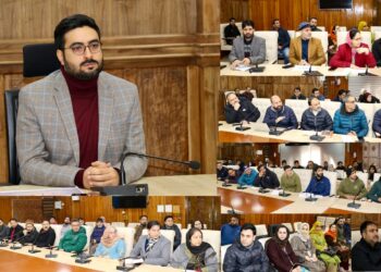 DC Srinagar reviews implementation of PM Surya Muft Bijli Yojana in district