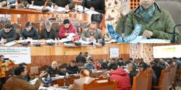 DC Shopian chairs DLRC/DCC meeting