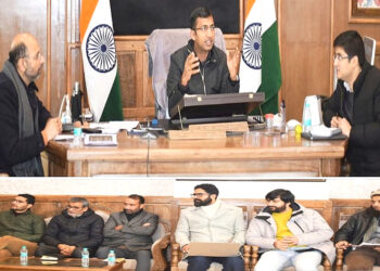 Div Com Kashmir takes review of Handicrafts & Handloom Department